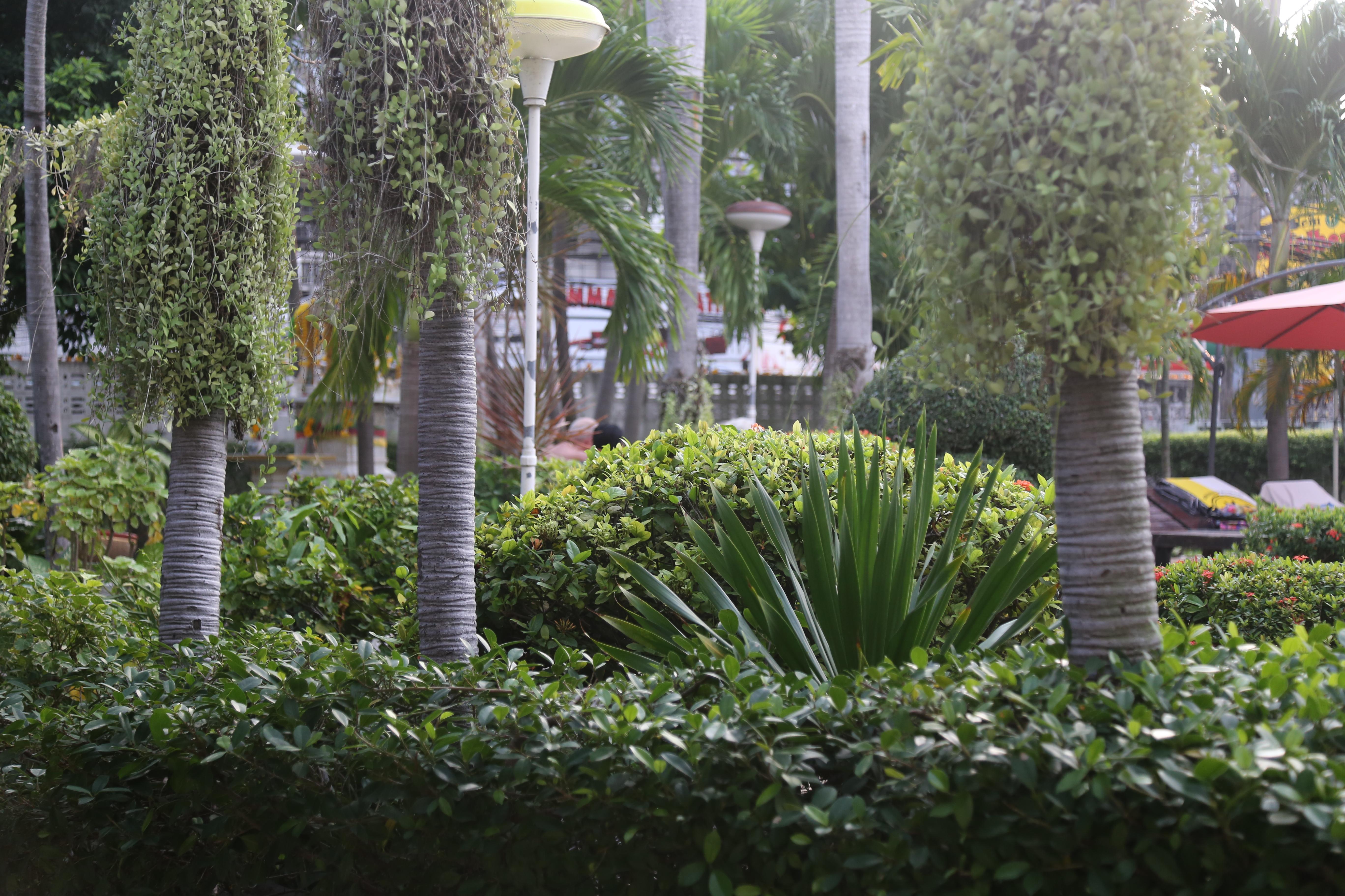 Hotel Romeo Palace Pattaya Buitenkant foto